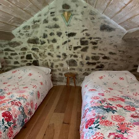 Saint-Julien-le-Petit Petite Maison Conjat מראה חיצוני תמונה